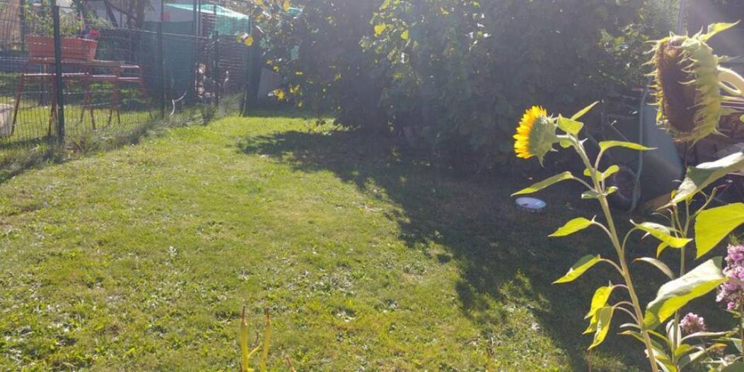 Podkroví - ubytování Brdy Bohutín Exteriér fotografie