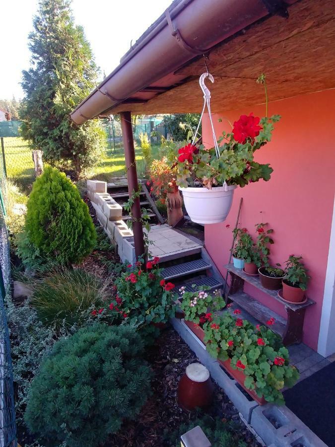 Podkroví - ubytování Brdy Bohutín Exteriér fotografie